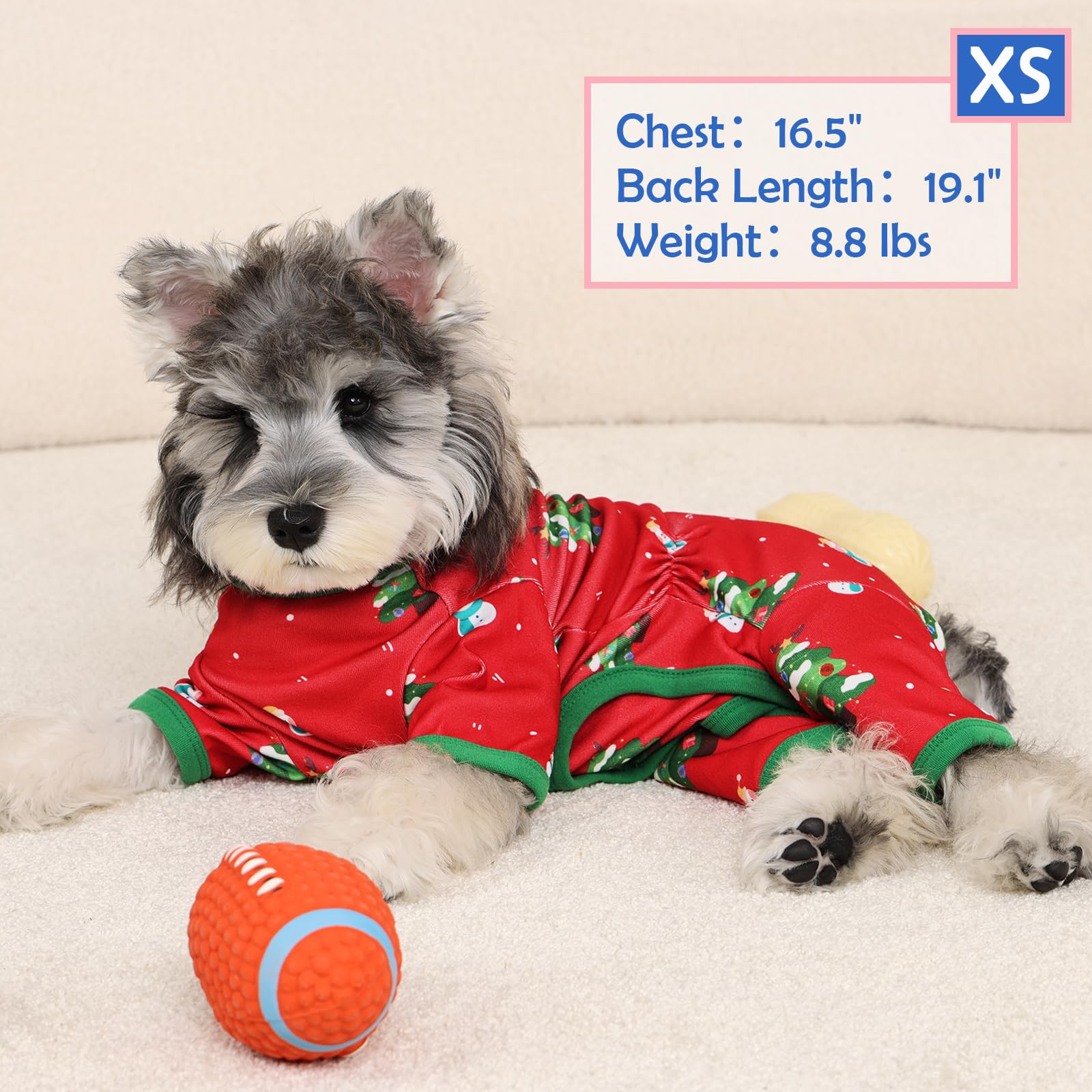 MORVIGIVE dachshund-friendly-pajamas shows size that's easy to fit short legs
