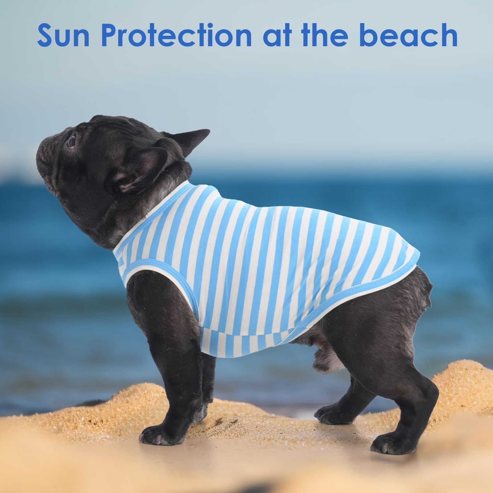 MORVIGIVE easy-on sleeveless design shot emphasizes quick dressing and comfort for dogs