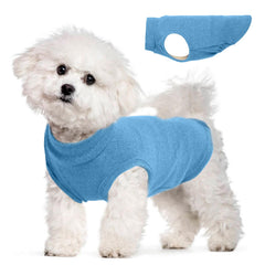 MORVIGIVE fleece sweater on a small dog during a chilly walk, lightweight warmth.