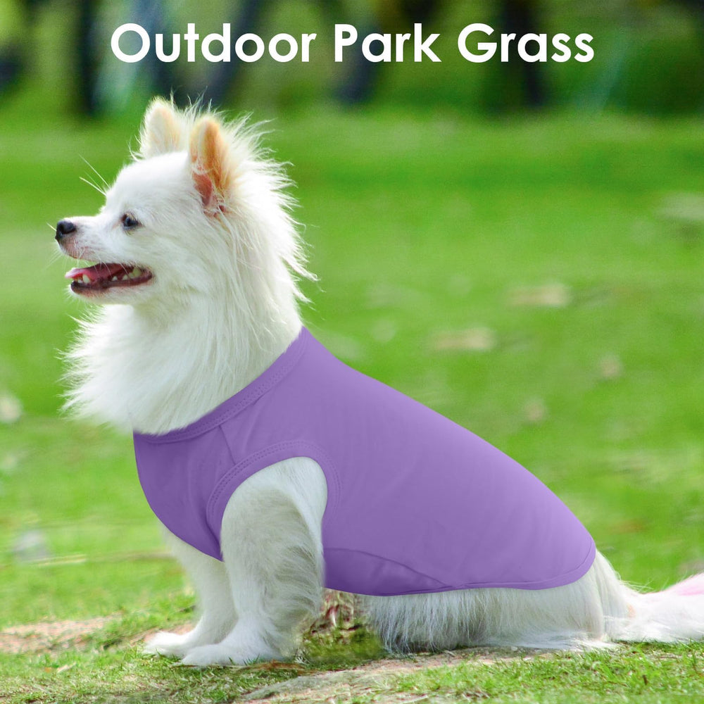 MORVIGIVE front view dog t-shirt emphasizes fit and stripes.