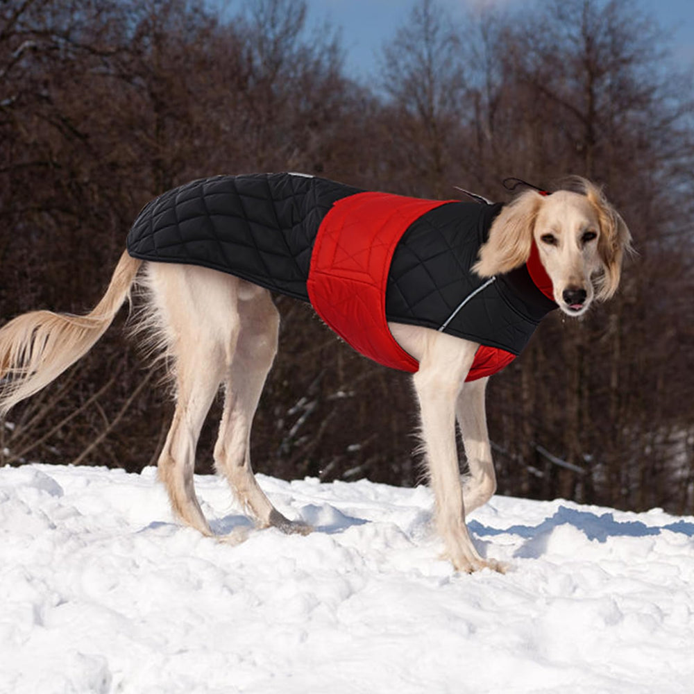 MORVIGIVE greyhound coat red large with adjustable bands for a snug, customizable fit