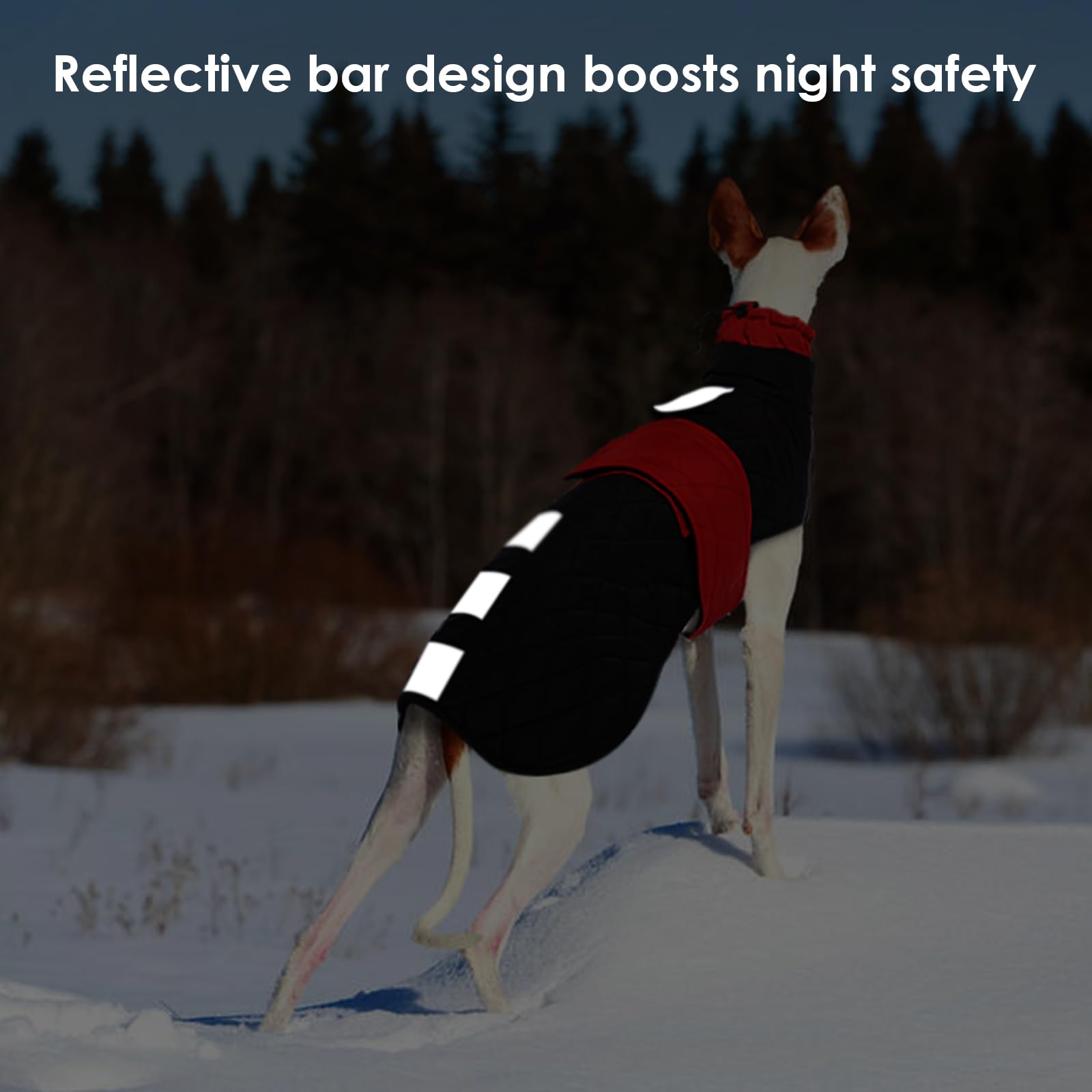 MORVIGIVE greyhound coat red large features a harness hole for easy leash attachment
