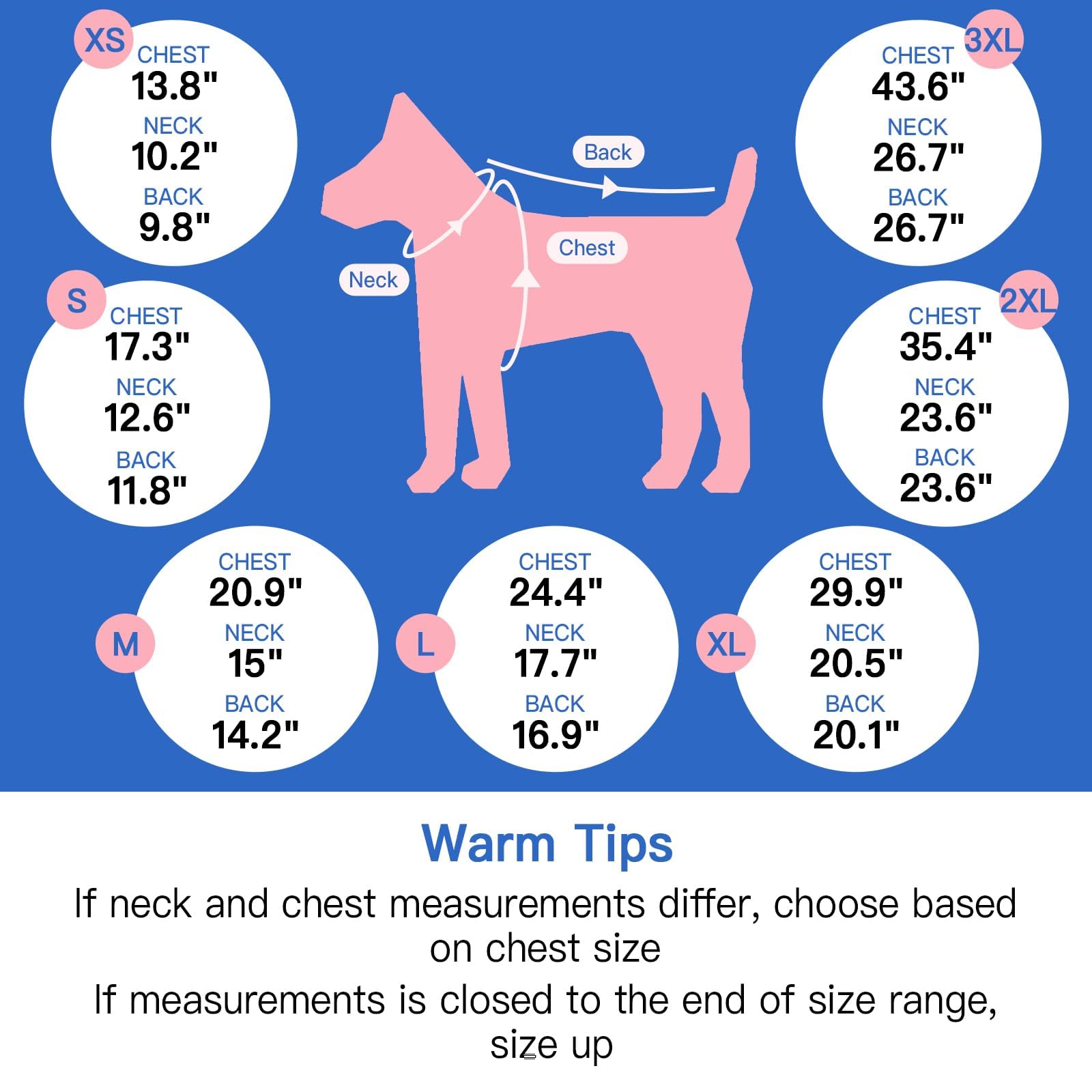 MORVIGIVE small-dog fit suitable for Schnauzer or Jack Russell.
