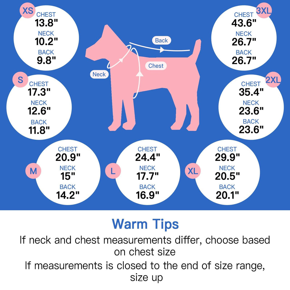 MORVIGIVE small-dog fit suitable for Schnauzer or Jack Russell.