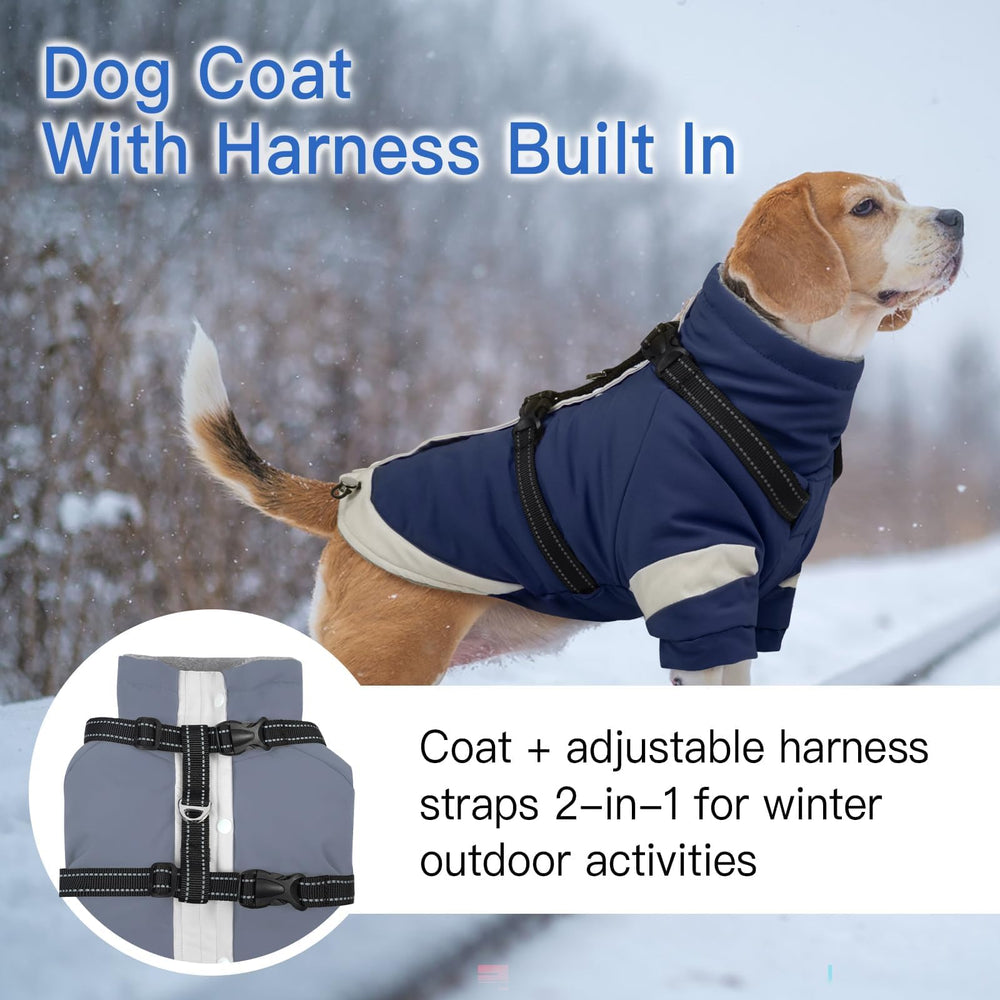 MORVIGIVE harness-built coat with windproof fabric shields tiny dogs on windy days.