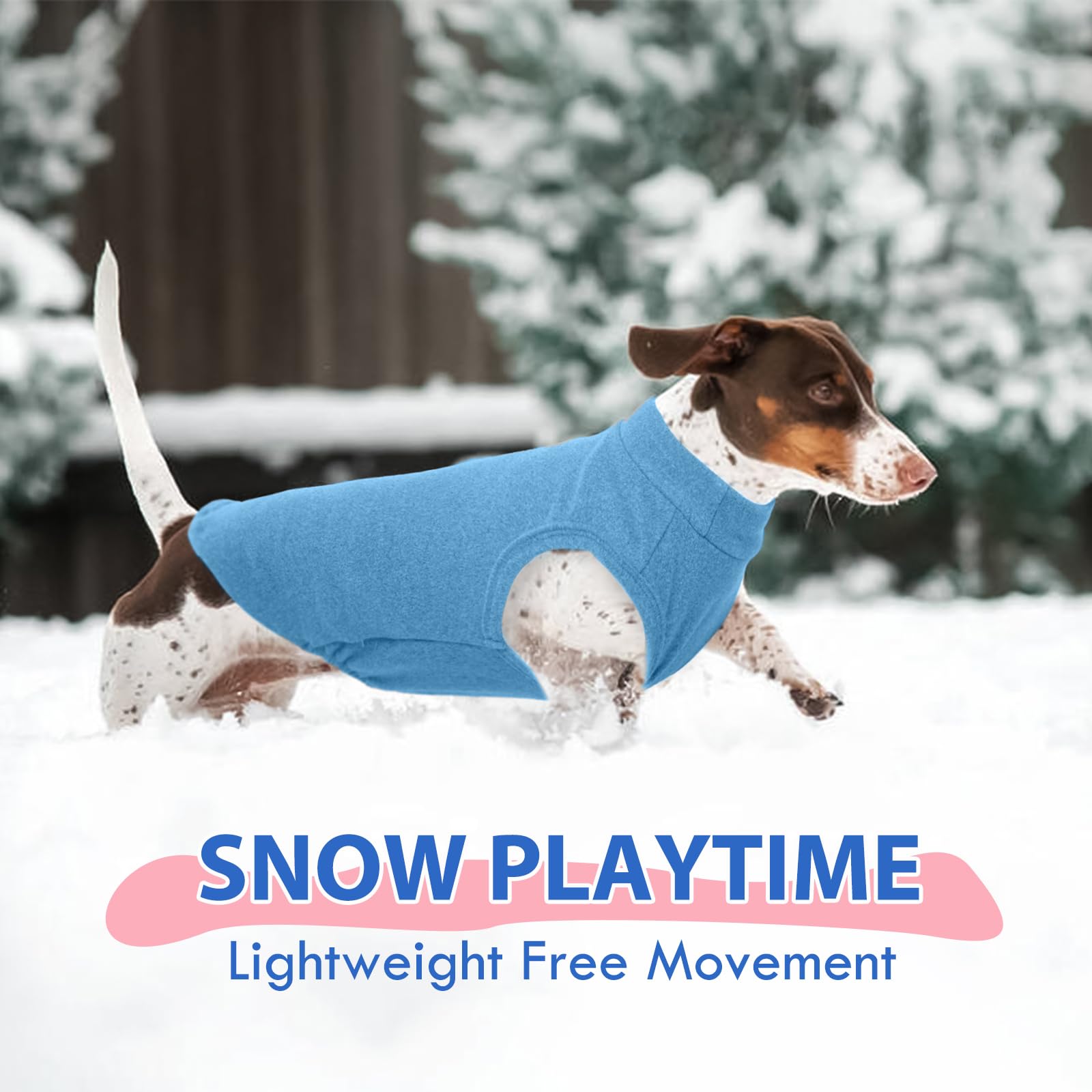MORVIGIVE winter dog wear showcases cozy layering for outdoors indoors.