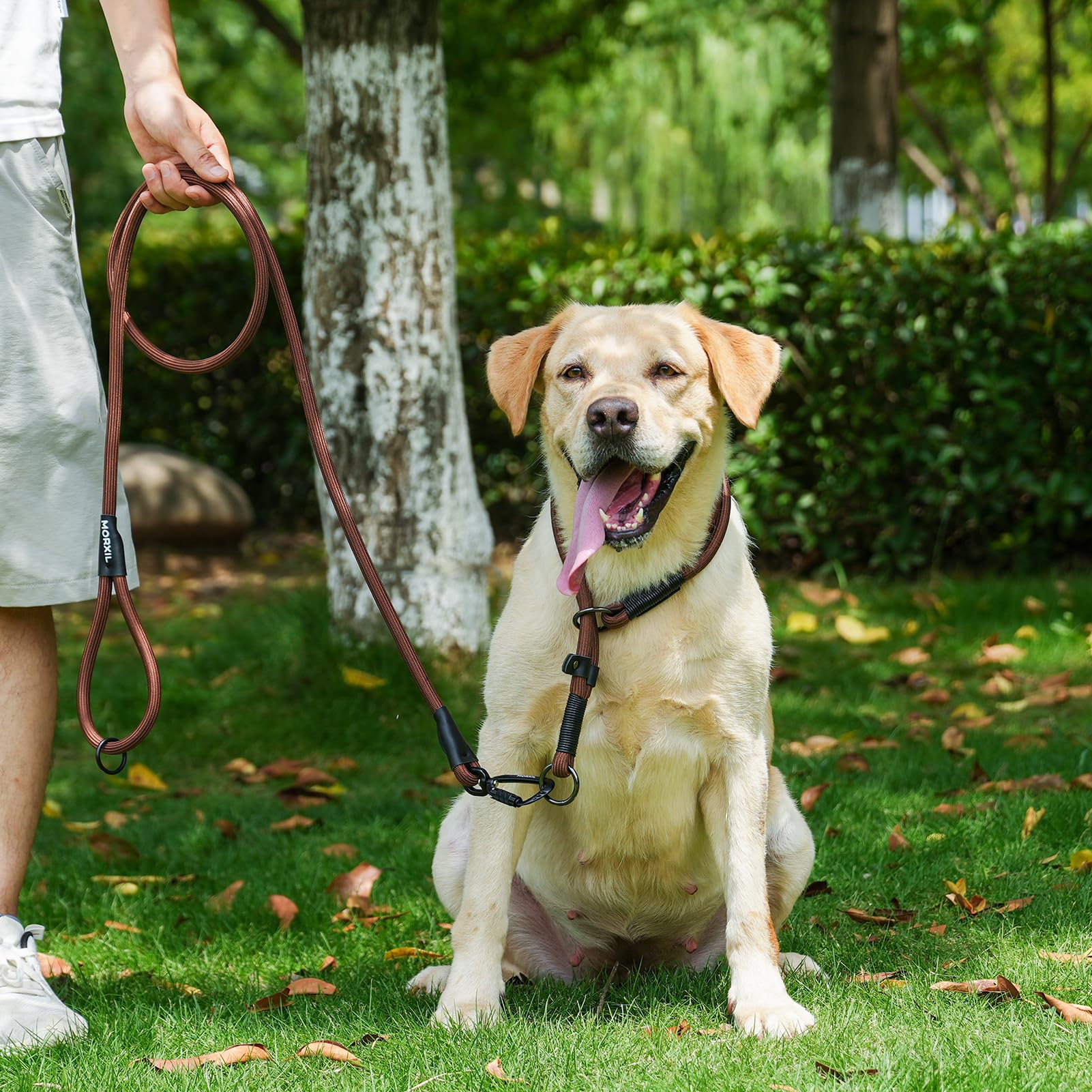 MORXIL leash available in six colors for style and visibility.