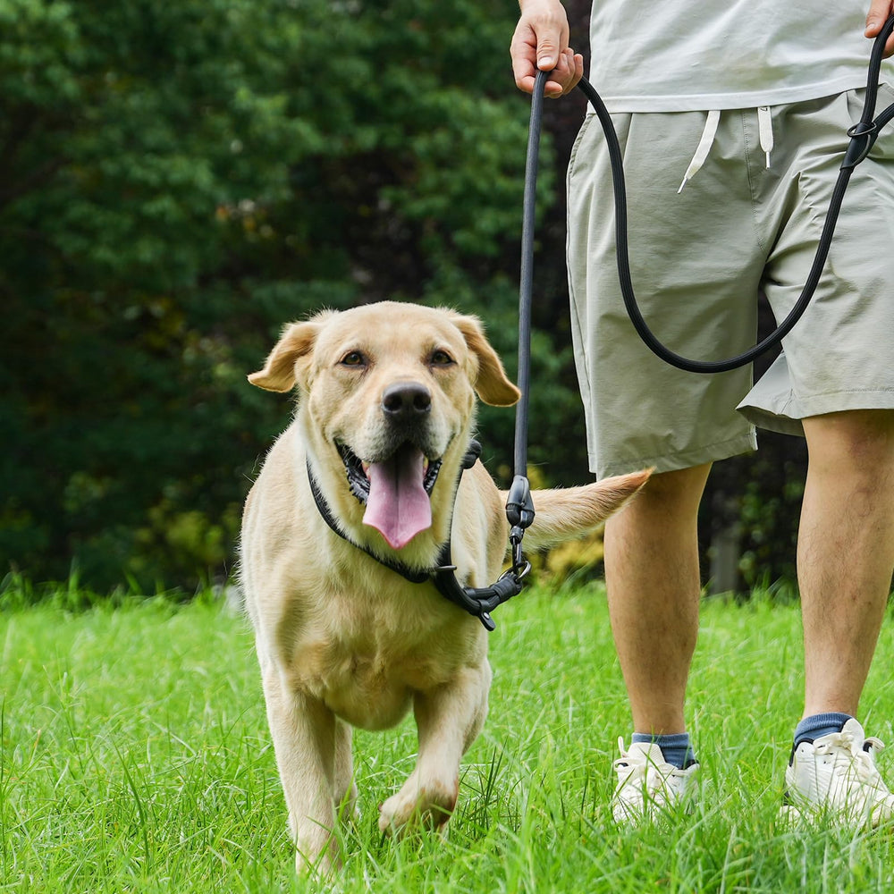 MORXIL leash during walking and hiking demonstrates reliable grip.