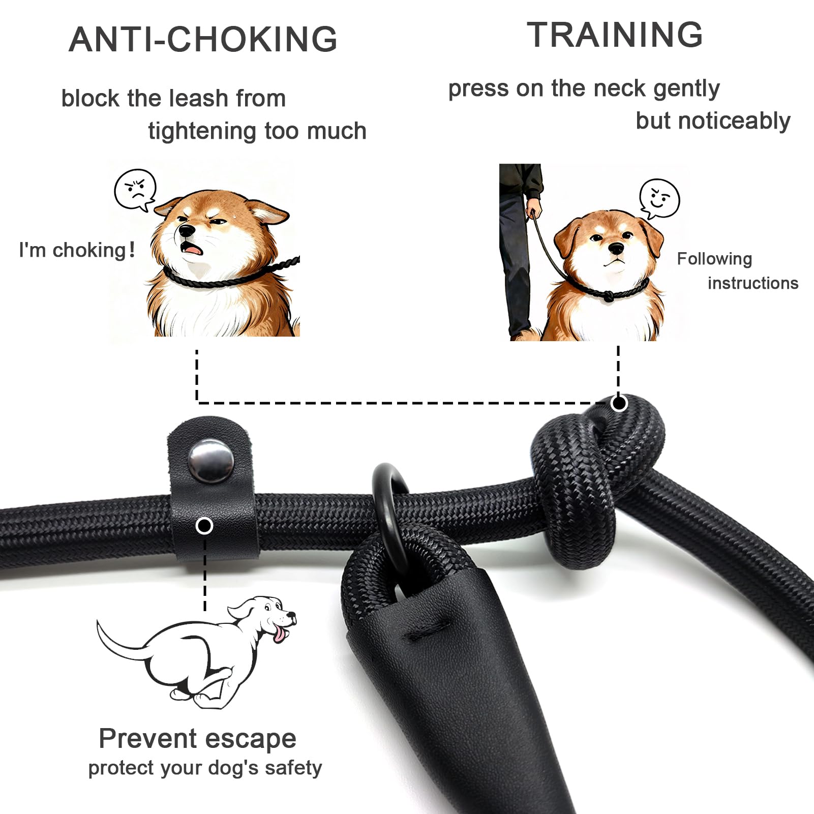 MORXIL dual-lock system keeps leash secure during training