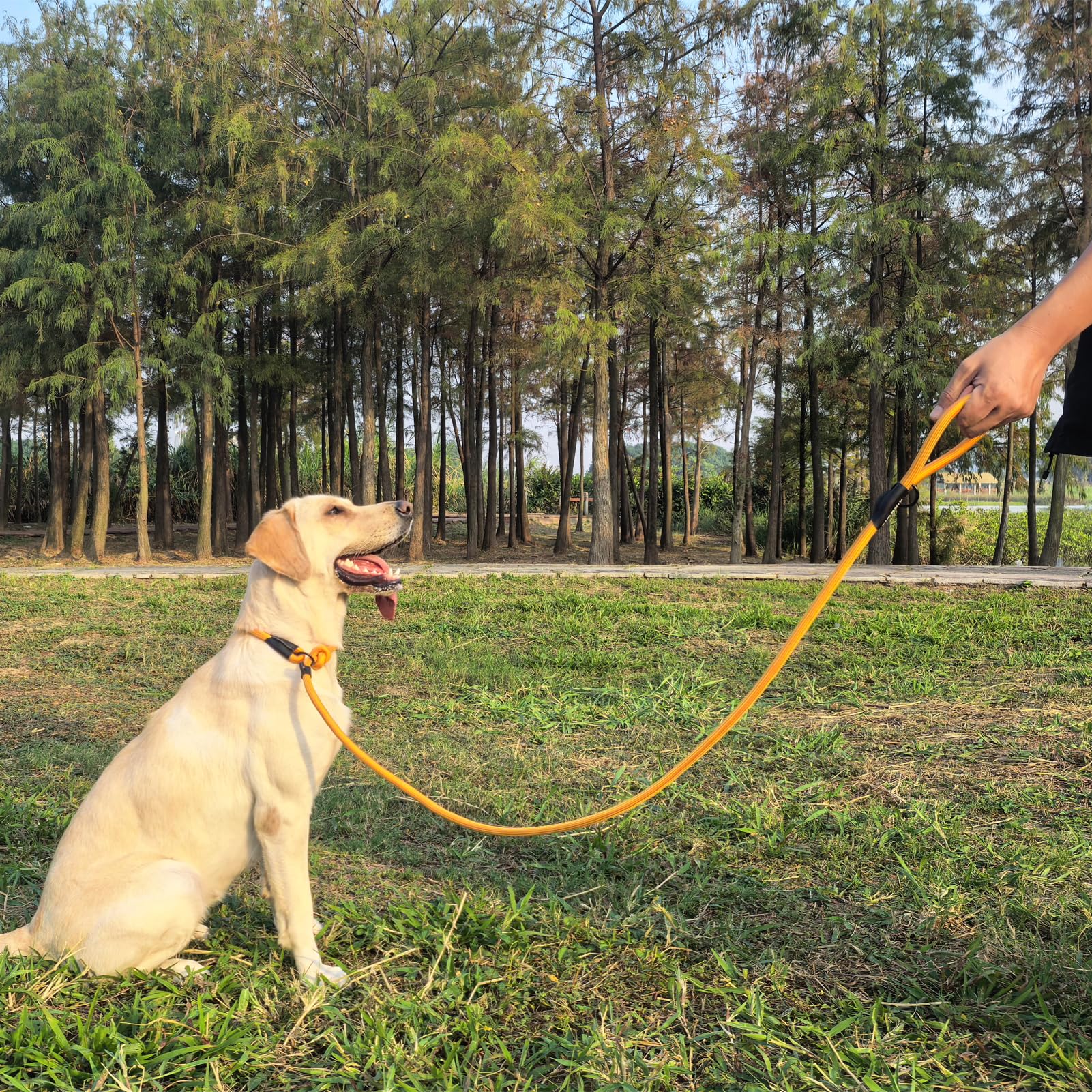 MORXIL slip leash easy-on-off design for quick fitting