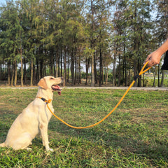 MORXIL slip leash easy-on-off design for quick fitting