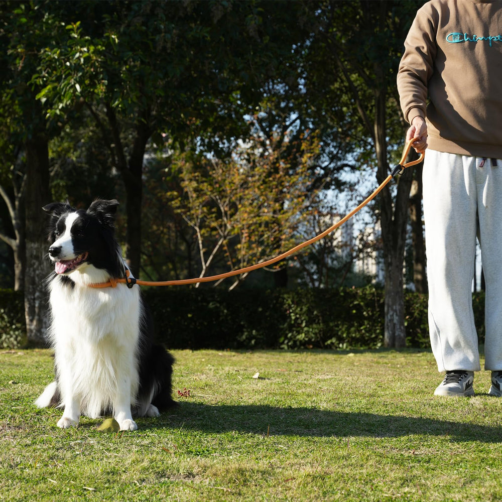 MORXIL heavy-duty no-pull leash for hiking and training