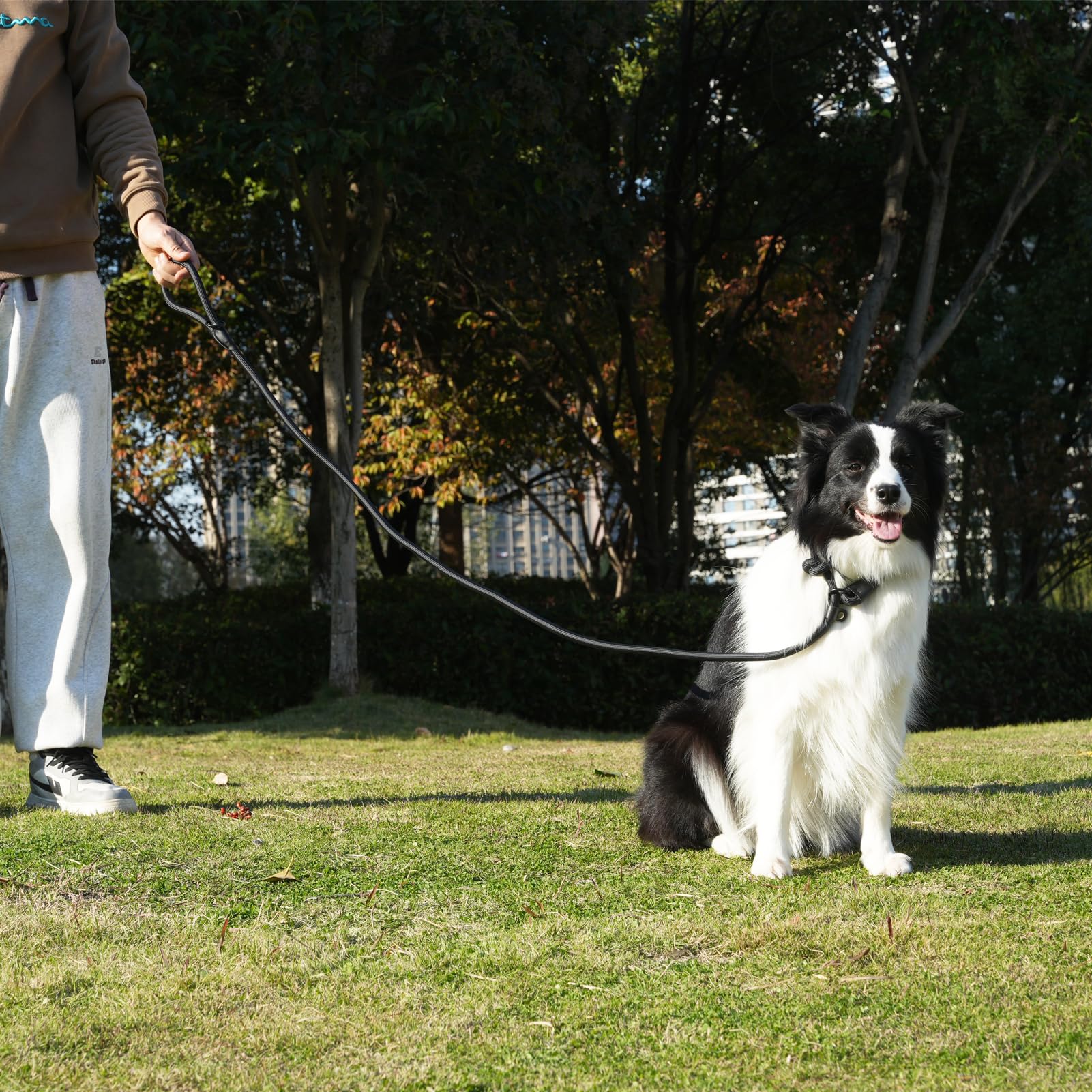 MORXIL slip leash leather stopper with rope reduces choking risk during walks