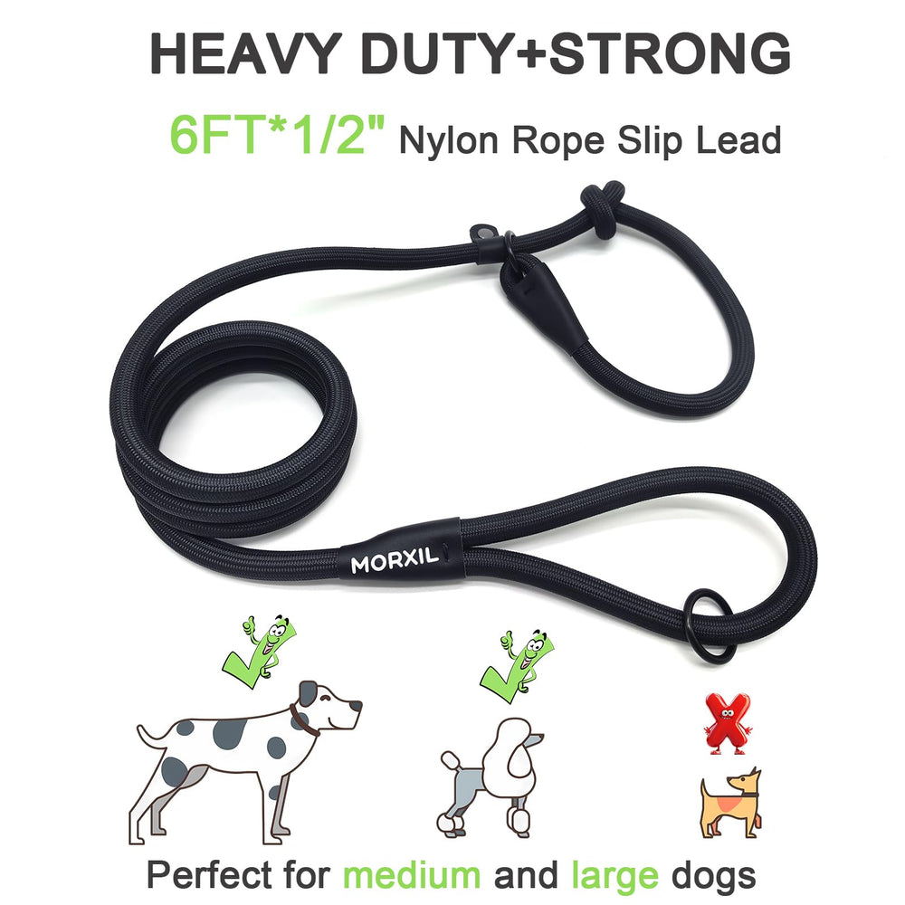 MORXIL training commands like sit, heel, stay