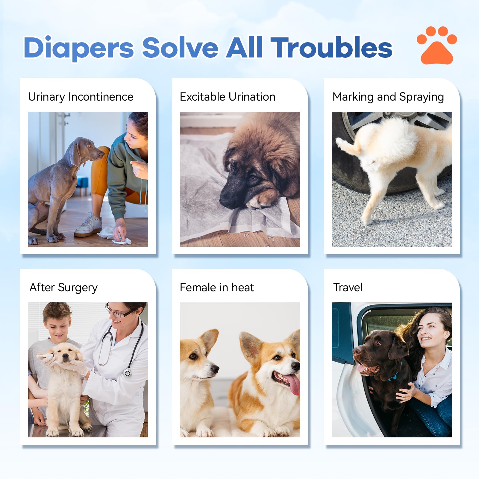 Cute Mosamart patterns give a stylish look for dogs.