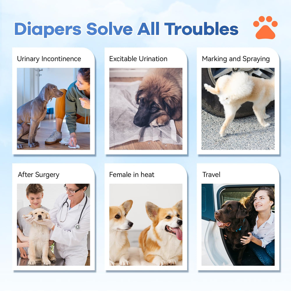Cute Mosamart patterns give a stylish look for dogs.