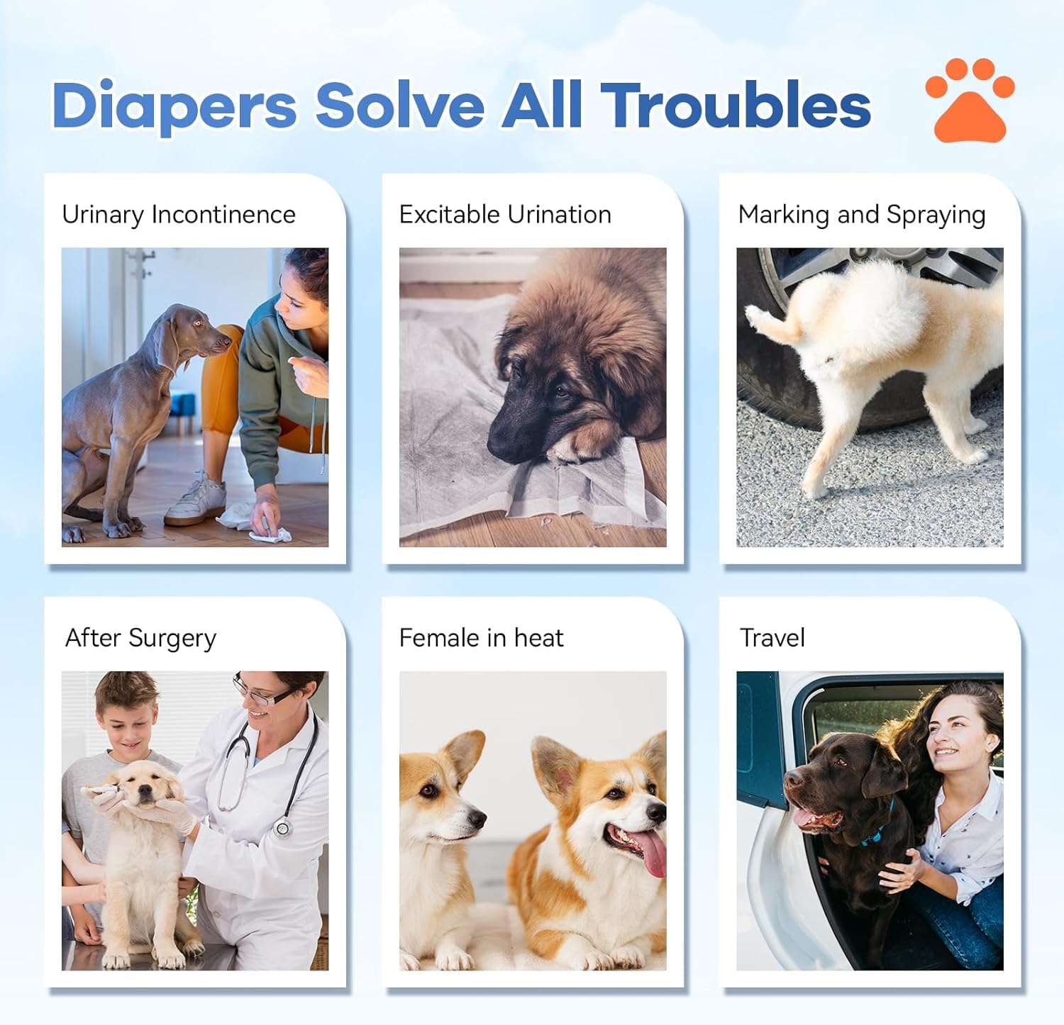 Mosamart stylish patterns image adds fashion-friendly appearance for pets and owners.