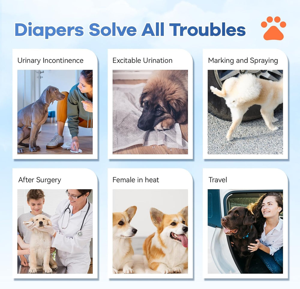 Mosamart stylish patterns image adds fashion-friendly appearance for pets and owners.