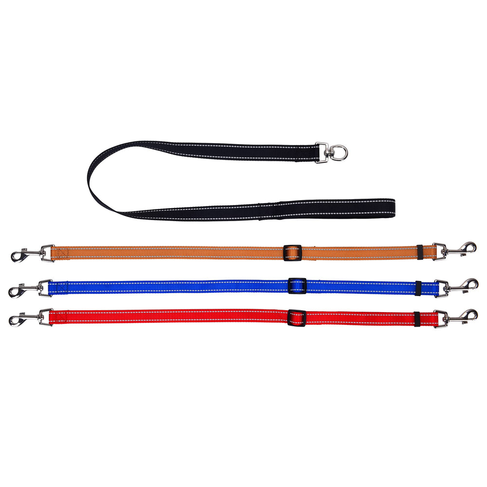 MoSANY detachable-multi-dog leash enables solo or group walks.