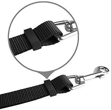 MoSANY multi-dog walking scene showing reduced tangling at connection points