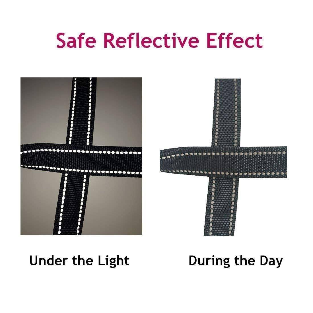 MoSANY tangle-free-connection-point design minimizes tangling during walks.