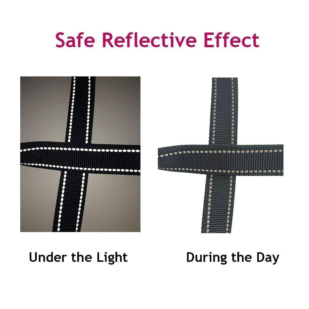 MoSANY tangle-free-connection-point design minimizes tangling during walks.