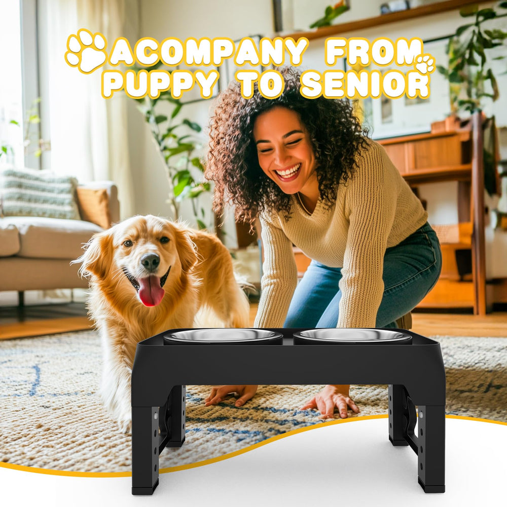 Moserein elevated dog bowls dining setup offers a tidy, organized feeding space.