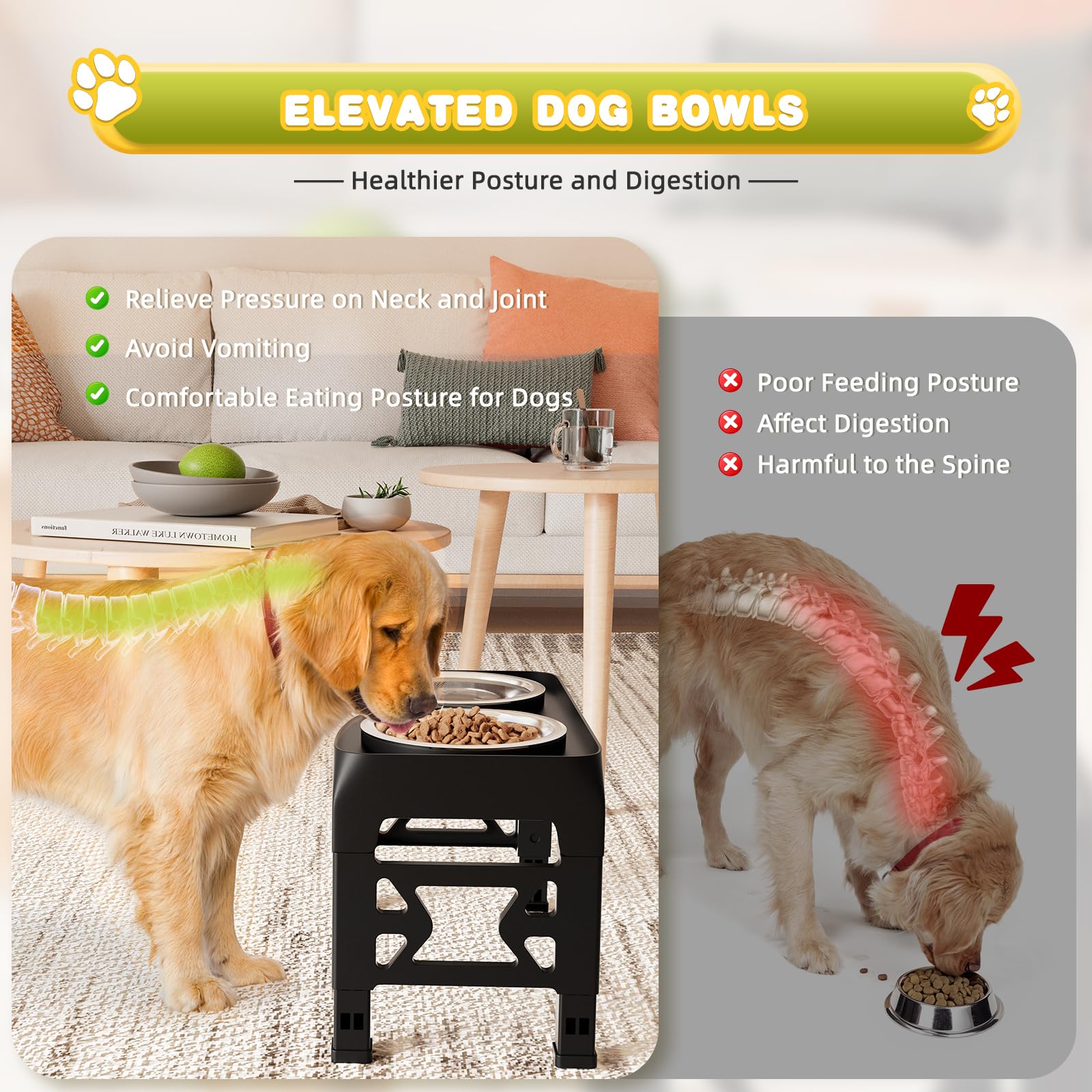 Moserein elevated dog bowls stainless steel bowls highlight durability and easy cleaning.