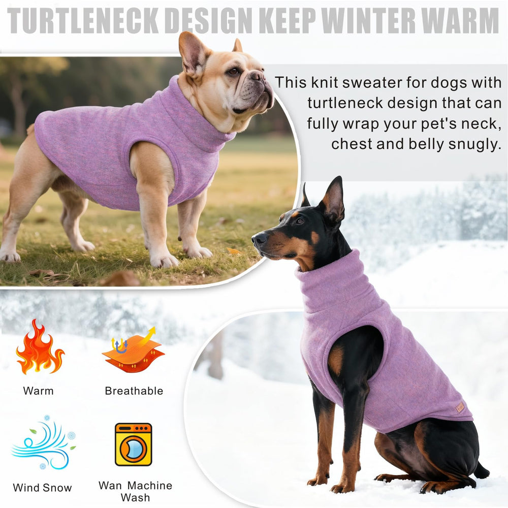Mosucoirl dog wearing purple pullover in a cozy home setting