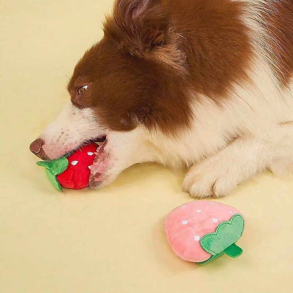 MOSYZEO compact size toy fits small dogs' mouths and paws comfortably