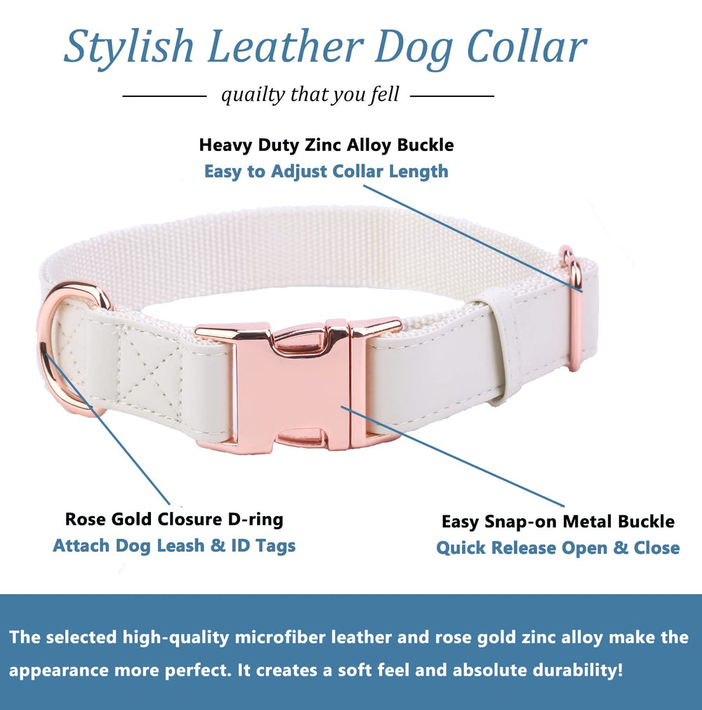 MoTaity collar shows soft inner webbing for gentle neck protection.