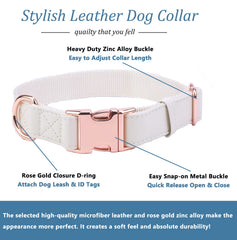 MoTaity collar shows soft inner webbing for gentle neck protection.