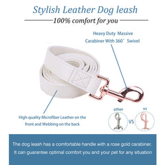 MoTaity rose-gold buckle detail on dog collar-leash set for stylish durability.