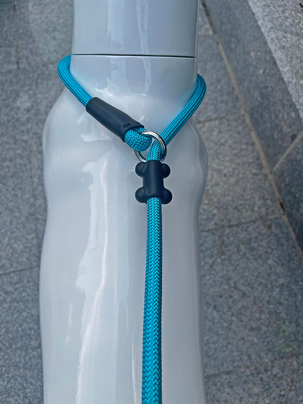 MoTaity blue slip lead enhances comfort during daily outings