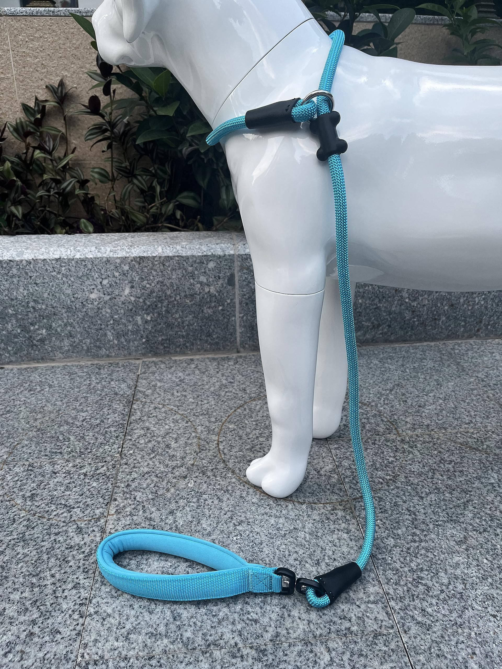 MoTaity 2-in-1 leash and collar supports easy sizing for any neck