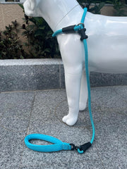 MoTaity 2-in-1 leash and collar supports easy sizing for any neck