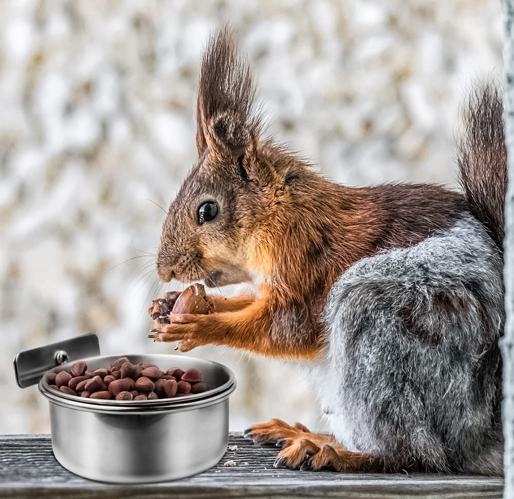 MotBach 3-pack provides versatile options for multiple birds or small pets.
