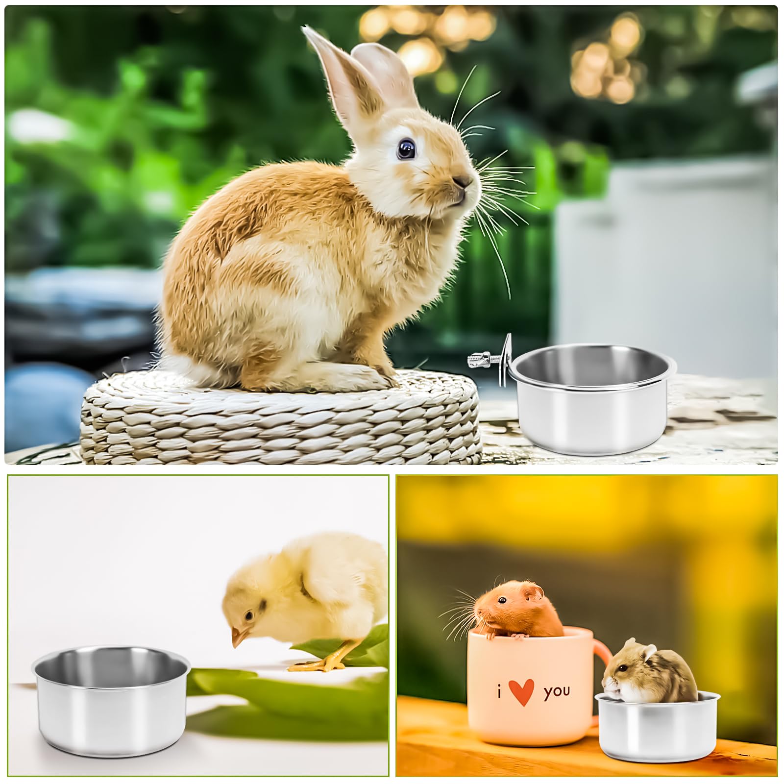 MotBach durable steel bowls endure daily cage life for active birds.