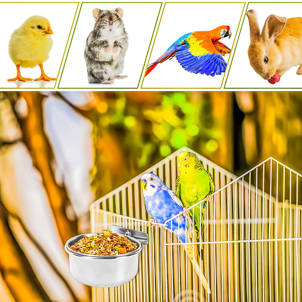 MotBach bowls suit small birds and small animals for versatile use.