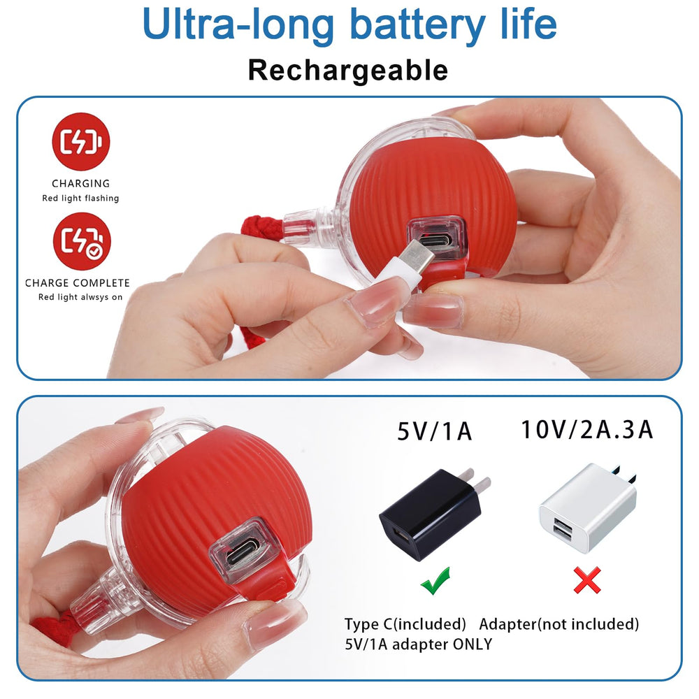 Moterej Speedy Tail 3.0 blue fast-mode light indicating energetic play.