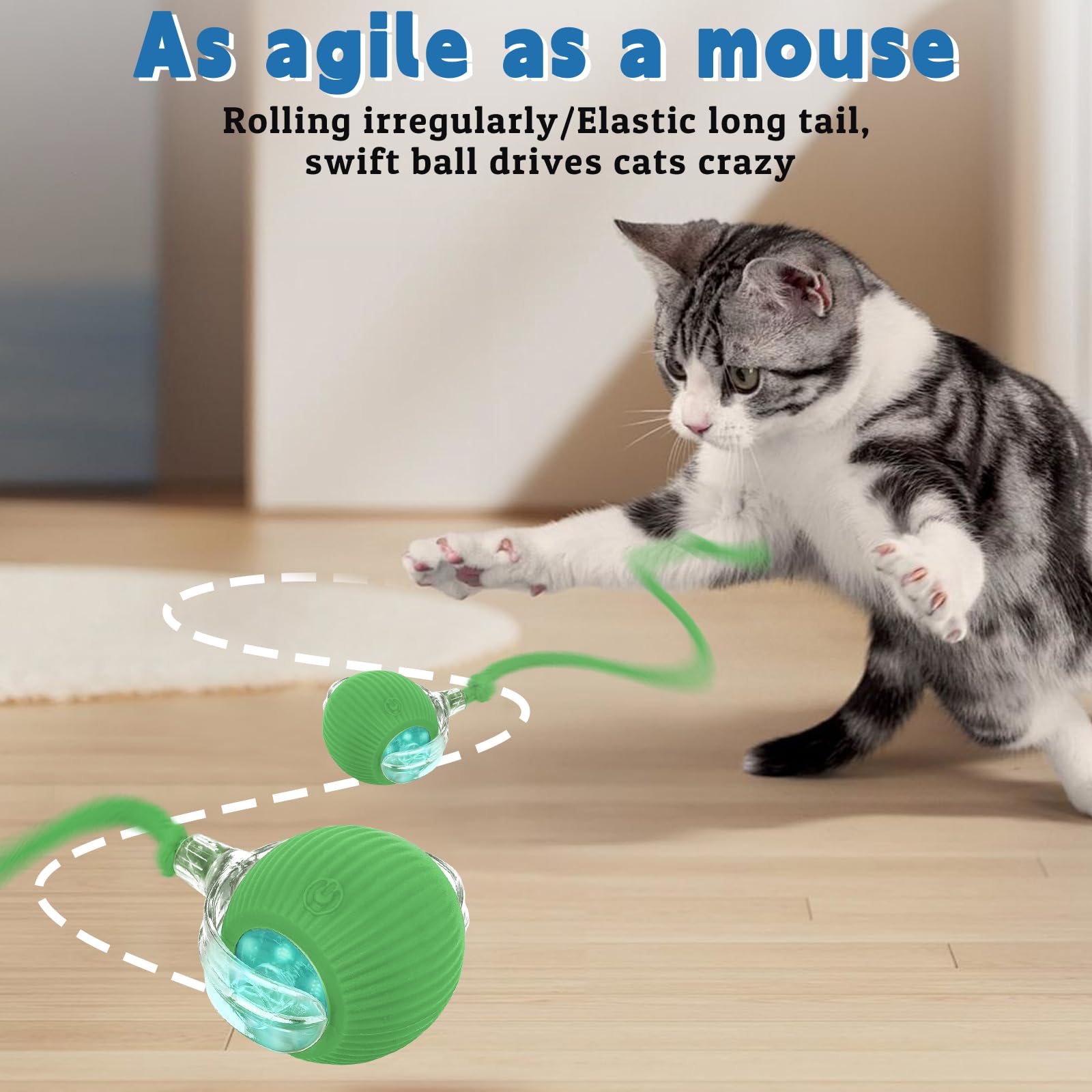 Moterej Speedy Tail 3.0 indoor-use image captures versatile play across floors.