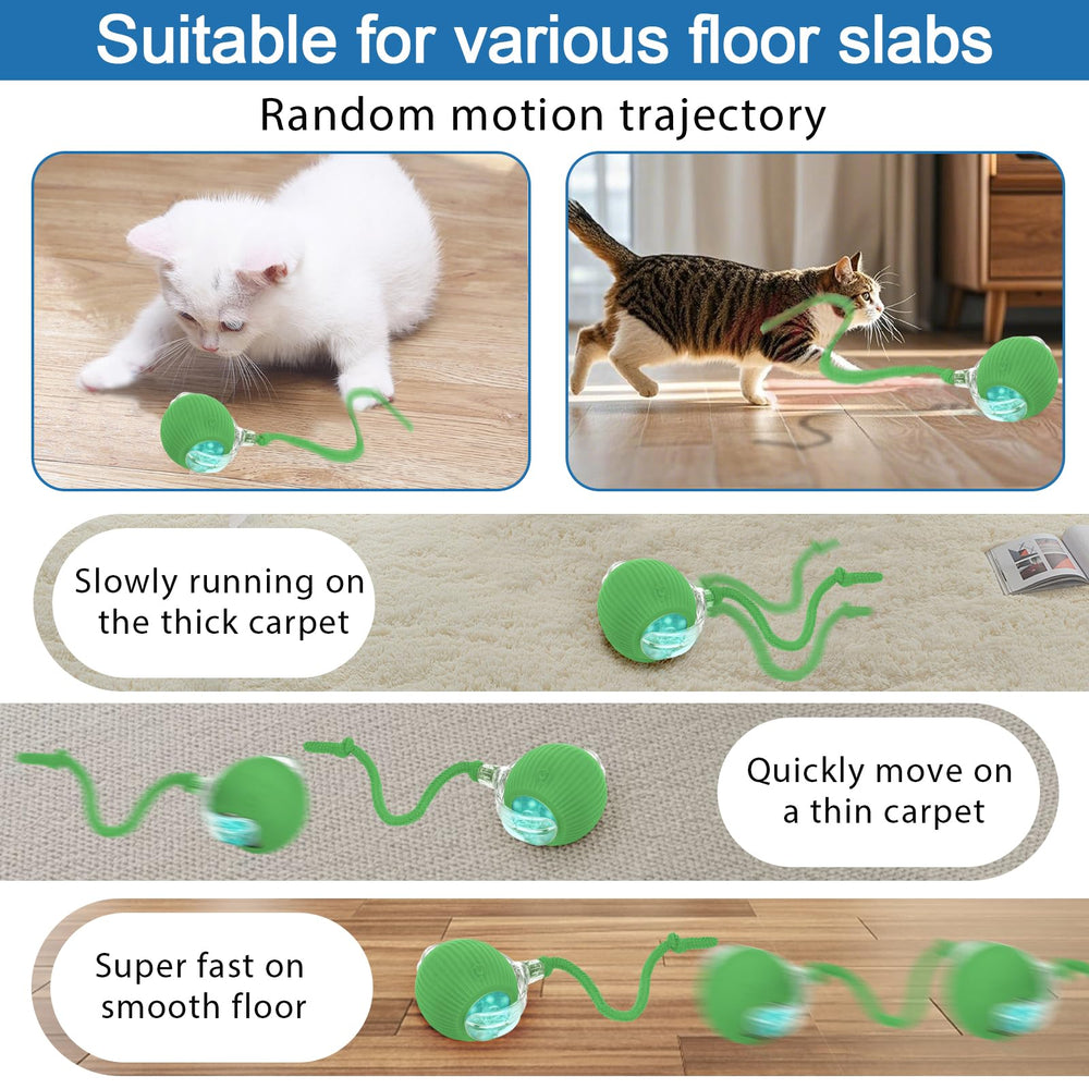 Moterej Speedy Tail 3.0 recharge port close-up shows easy charging.