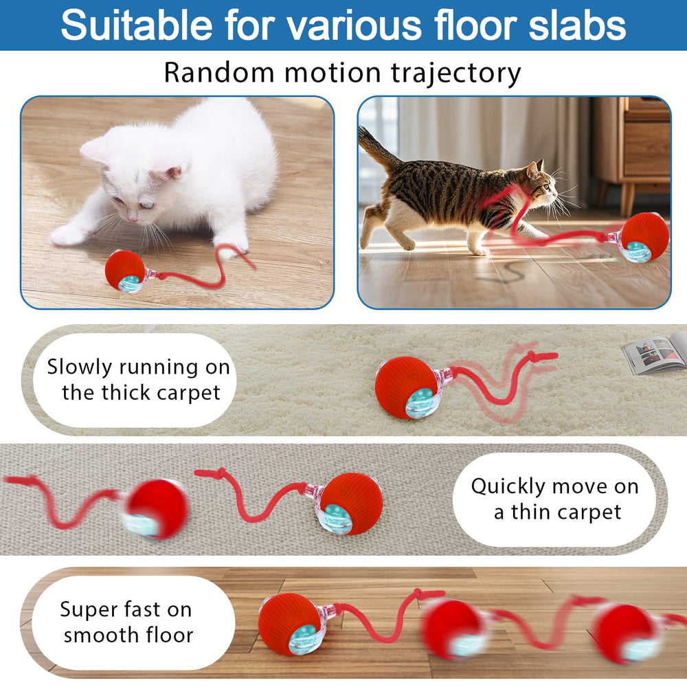 Moterej Speedy Tail 3.0 sleep indicator flashing during rest periods.