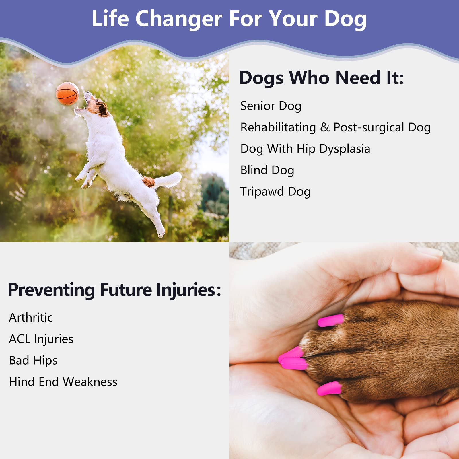 Mottalio 45-piece pack highlighting long-lasting traction for senior dogs