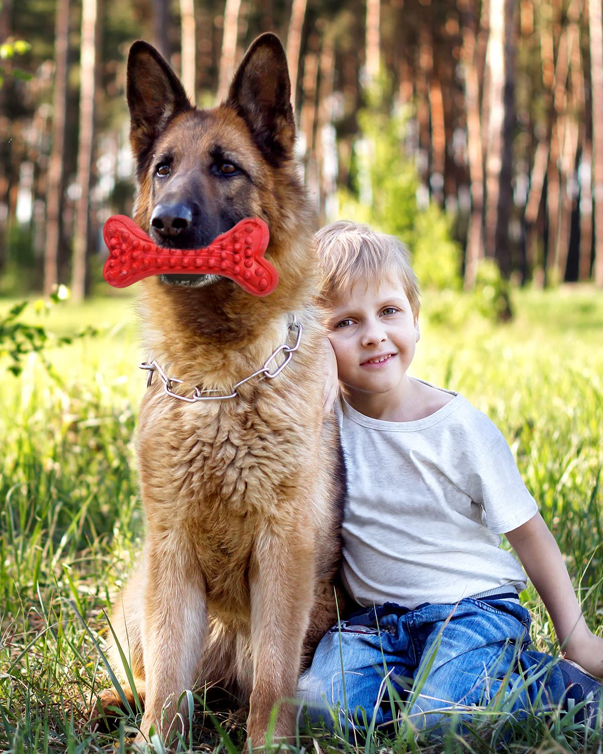 Motusamare aggressive-chewer approved toy demonstrates tough durability in real use.