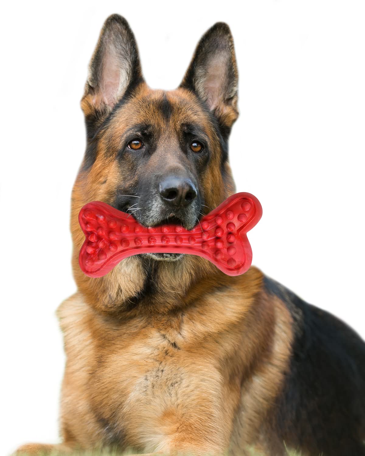 Motusamare GSD chew toy beef flavor engages aggressive chewers during play.