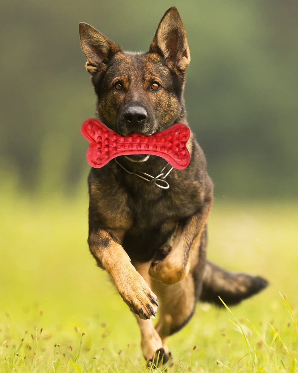 Motusamare non-toxic rubber close-up communicates safe chewing material.