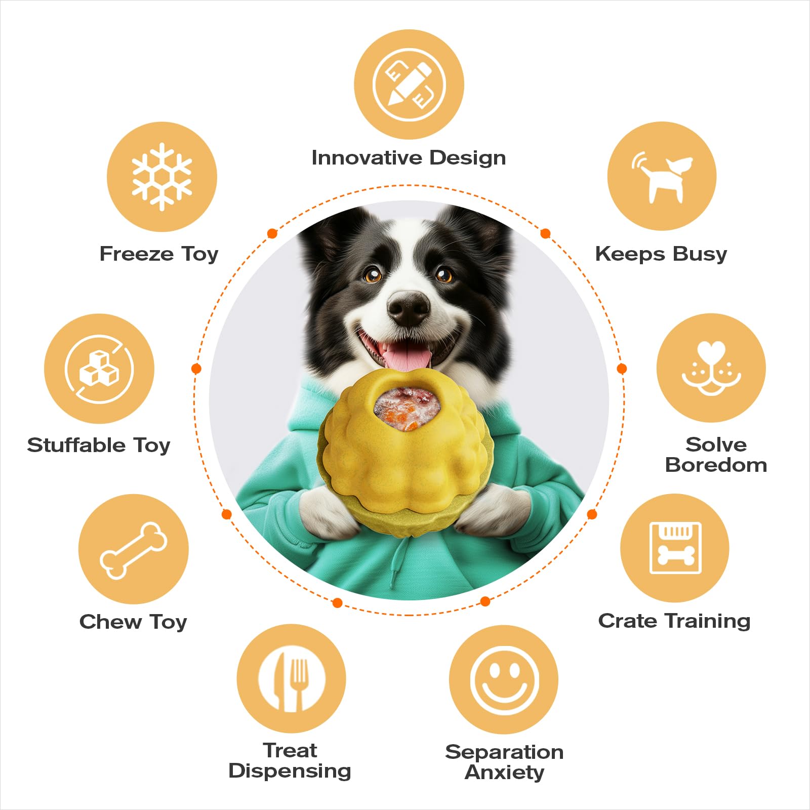 Motusamare screw open design dog toy demonstrates easy access for filling
