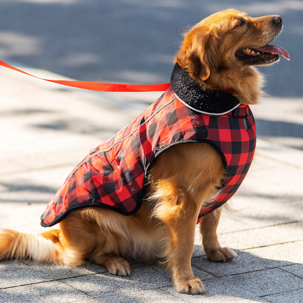 MOTZABO dog winter coat abdomen safety buckle demonstrates secure fit.