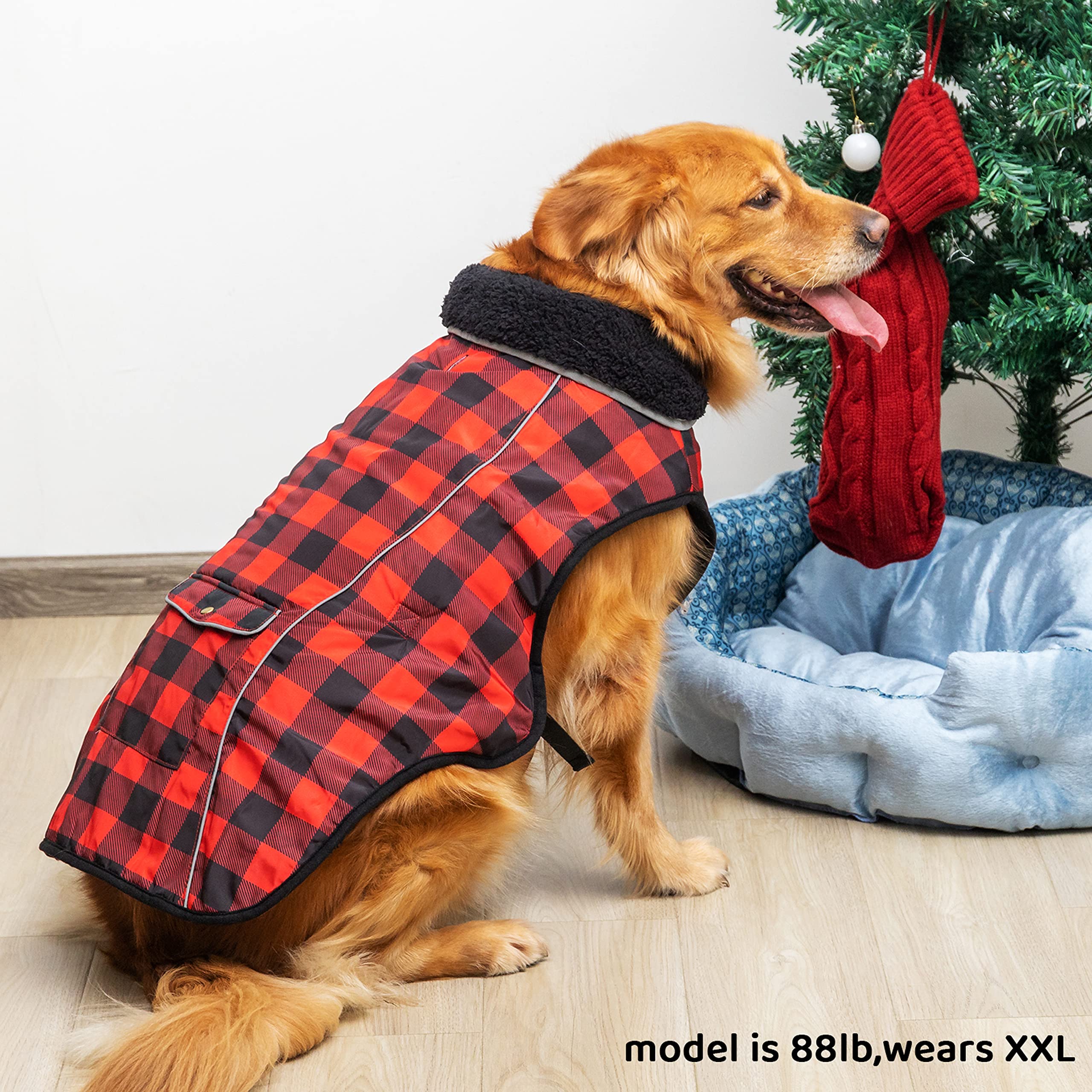 MOTZABO dog winter coat size chart image guides correct fit.